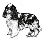 images/Razze/Sezione5/King_Charles/thumb_King Charles Spaniel.jpg